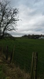 Scenic view of grassy field against cloudy sky