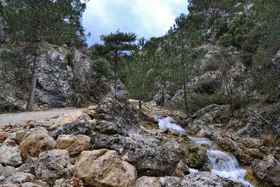 River flowing through rocks