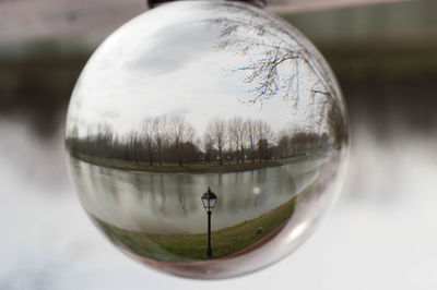 Reflection of trees in water