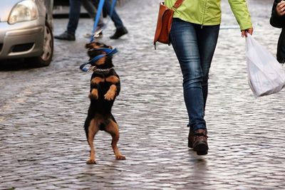Low section of woman walking with dog