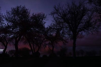 Silhouette trees against sky at night