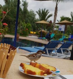 Close-up of breakfast on table