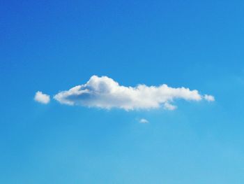 Low angle view of trees against blue sky