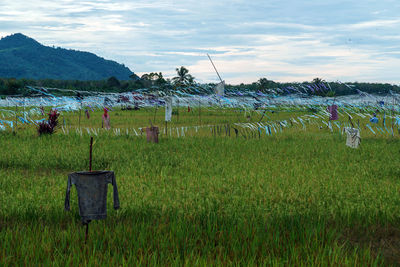 Scenic view of field against sky