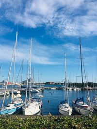 Sailboats moored at harbor