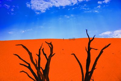 Bare trees at desert against sky