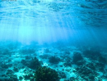 View of sea underwater