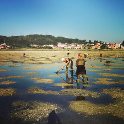 People cleaning beach against clear sky