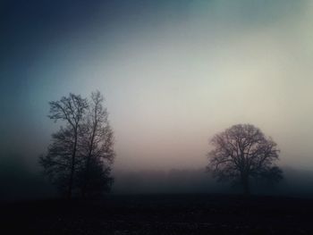 Bare tree on landscape against clear sky