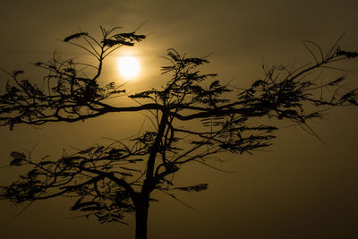 Low angle view of silhouette tree against sky during sunset