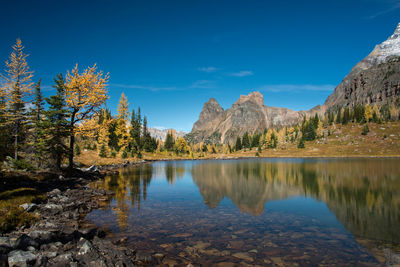 Scenic view of lake by trees against blue sky