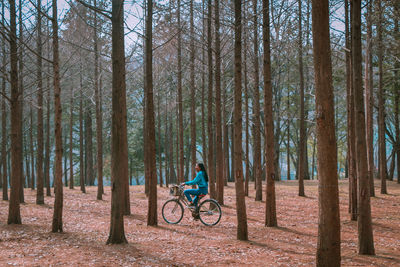 Man riding bicycle in forest