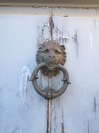 Close-up of door knocker on wall