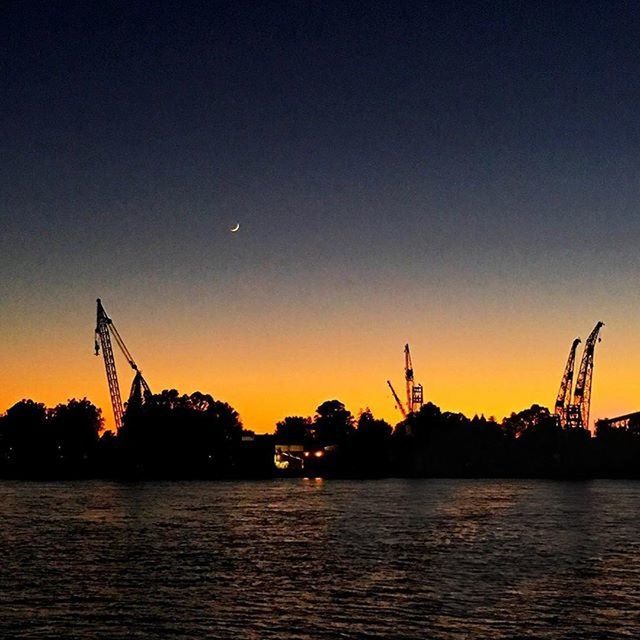 SILHOUETTE OF CRANES IN SEA AT SUNSET