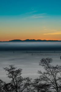 Scenic view of silhouette trees against sky during sunset
