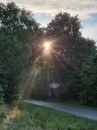 Sunlight streaming through trees in forest against sky during sunset