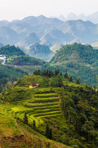 Scenic view of agricultural field against mountains