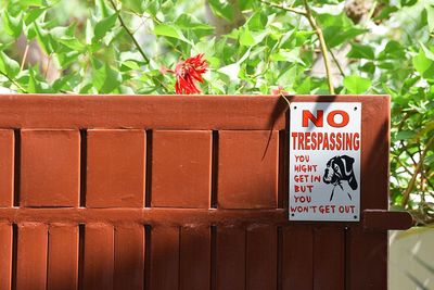 Close-up of text on plant in greenhouse