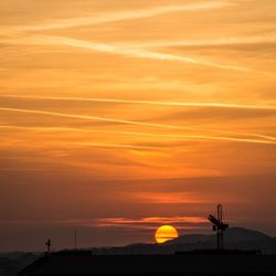 Silhouette of trees at sunset