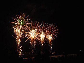 Low angle view of firework display at night