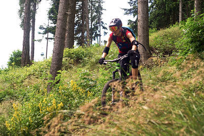 Man riding bicycle in forest