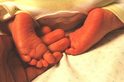 Close-up of baby lying on bed