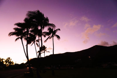 Silhouette trees against sky at sunset