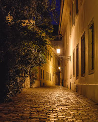 Narrow street amidst buildings at night