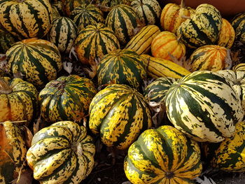 Full frame shot of pumpkins at market