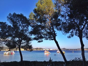 Boats in sea