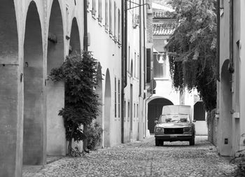 Cars on city street amidst trees