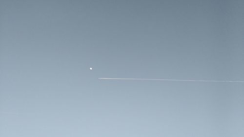Low angle view of tree against sky