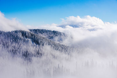 Scenic view of snow covered trees on mountains against sky