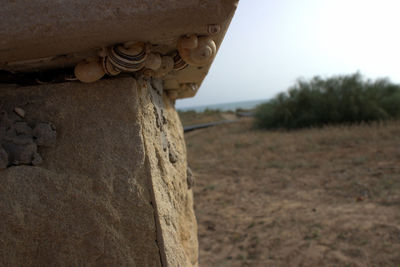 Close-up of abandoned building