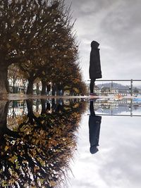 Reflection of tree in lake against sky