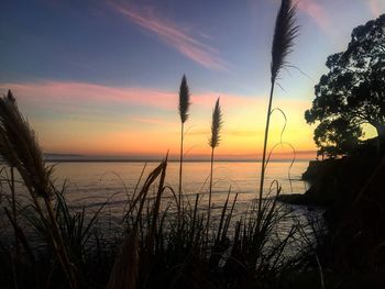 Scenic view of sea at sunset