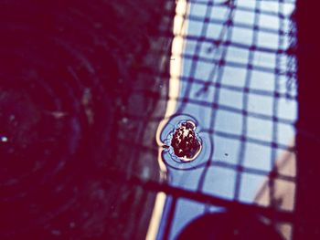 Close-up of red object