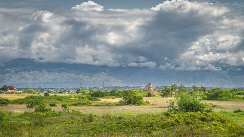 Scenic view of field against sky