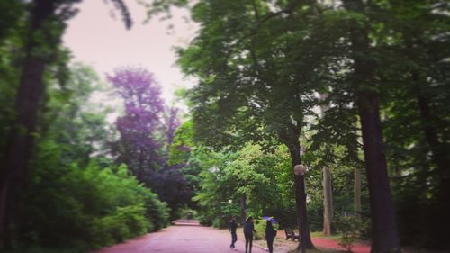 People walking on footpath