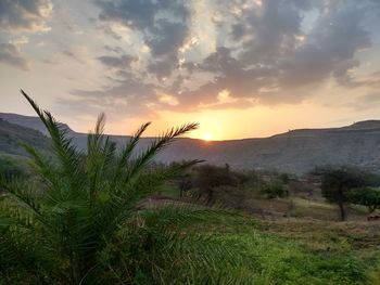 Scenic view of landscape against sky during sunset