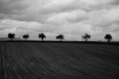 Trees on field against sky