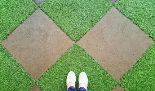 Low section of woman standing on grass