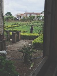 Man in park by building against sky