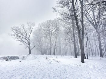 Bare trees on snow covered field against sky