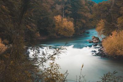 Scenic view of waterfall in forest during autumn