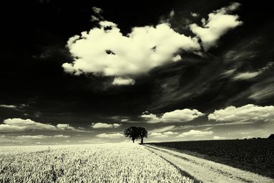Scenic view of landscape against cloudy sky