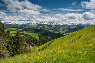 Scenic view of landscape against sky