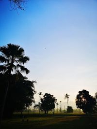 Silhouette trees on field against clear sky at sunset
