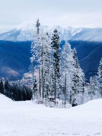 Scenic view of snow covered mountains against sky