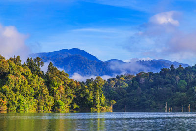 Scenic view of lake by trees against sky